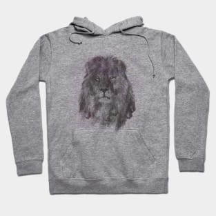 lion just wants to have fun Hoodie